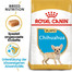 ROYAL CANIN Chihuahua junior 0.5 kg