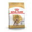 ROYAL CANIN Poodle adult 1.5 kg