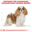 ROYAL CANIN Cavalier king charles adult - nourriture sèche pour chiens adultes de race cavalier king charles spaniel - 1.5 kg