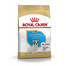 ROYAL CANIN French bulldog junior 1 kg