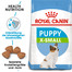 ROYAL CANIN X-Small junior 0.5 kg
