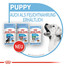 ROYAL CANIN X-Small junior 3 kg