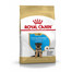 ROYAL CANIN German shepherd junior 1 kg