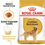 ROYAL CANIN Golden retriever adult 3 kg