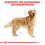 ROYAL CANIN Golden retriever adult 3 kg