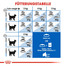 ROYAL CANIN Indoor 7+ 0.4 kg