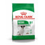 ROYAL CANIN Mini adult+8 8 kg