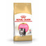 ROYAL CANIN Persian Kitten 10 kg