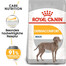 ROYAL CANIN Maxi Dermacomfort 10 kg