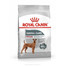 ROYAL CANIN Medium dental care 3 kg