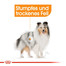 ROYAL CANIN Mini coat care 3 kg