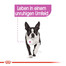 ROYAL CANIN Mini relax care 3 kg
