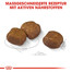 ROYAL CANIN Maxi Dental Care 3 kg