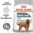 ROYAL CANIN Maxi Dental Care 3 kg