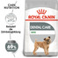 ROYAL CANIN CCN Mini Dental Care Aliment sec pour petites races adultes pour réduire la formation de tartre 8 kg