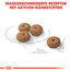 ROYAL CANIN Mini sterilised 1 kg