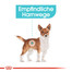 ROYAL CANIN Mini urinary care 8 kg