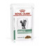 ROYAL CANIN Veterinary Diets Cat Diabetic 12 x 85 g