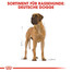 ROYAL CANIN Great dane 23 adult 12 kg