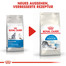 ROYAL CANIN Indoor 27 10 kg