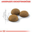 ROYAL CANIN Indoor long hair 35 0.4 kg