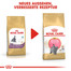 ROYAL CANIN Kitten British Shorthair 2 kg