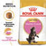ROYAL CANIN Maine Coon Kitten 400 g