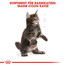 ROYAL CANIN Kitten Maine Coon 0.4 kg