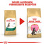 ROYAL CANIN Kitten Maine Coon 0.4 kg