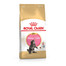 ROYAL CANIN Maine Coon Kitten 400 g