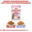 ROYAL CANIN Kitten sterilised 0.4 kg