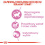 ROYAL CANIN Kitten Sterilised nourriture humide en sauce pour chatons stérilisées jusqu'à 12 mois 12 x 85g