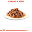 ROYAL CANIN Kitten Sterilised nourriture humide en sauce pour chatons stérilisées jusqu'à 12 mois 12 x 85g