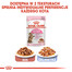 ROYAL CANIN Kitten Sterilised nourriture humide en sauce pour chatons stérilisées jusqu'à 12 mois 12 x 85g