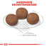 ROYAL CANIN Medium junior 1 kg