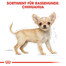 ROYAL CANIN Chihuahua junior 0.5 kg
