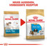 ROYAL CANIN Shih Tzu junior 0.5 kg