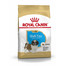 ROYAL CANIN Shih tzu junior 500g