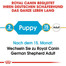 ROYAL CANIN German Shepherd junior 12 kg