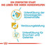 ROYAL CANIN German Shepherd junior 12 kg