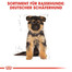 ROYAL CANIN German Shepherd junior 12 kg
