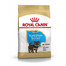 ROYAL CANIN Yorkshire terrier junior 0.5 kg