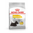 ROYAL CANIN Mini dermacomfort 1 kg