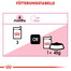 ROYAL CANIN Kitten Patè 12x85g