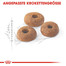 ROYAL CANIN Fit 32 10 kg