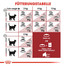 ROYAL CANIN Fit 32 10 kg