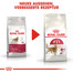ROYAL CANIN Fit 32 10 kg