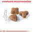 ROYAL CANIN Sensible 10 kg + 2 kg GRATUIT