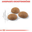 ROYAL CANIN Outdoor 30 2 kg