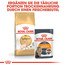 ROYAL CANIN Sphynx Adult 10 kg